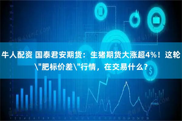 牛人配资 国泰君安期货：生猪期货大涨超4%！这轮＂肥标价差＂行情，在交易什么？